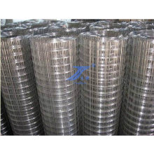 Welded Wire Mesh Grid Size 1/2" with Low Price (TS-WM01)